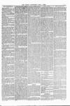 Thanet Advertiser Saturday 01 April 1893 Page 5