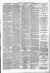 Thanet Advertiser Saturday 24 March 1894 Page 3