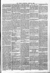 Thanet Advertiser Saturday 24 March 1894 Page 5