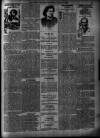 Sheffield Weekly Telegraph Saturday 05 January 1889 Page 9