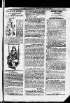 Sheffield Weekly Telegraph Saturday 14 April 1894 Page 17
