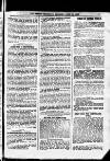 Sheffield Weekly Telegraph Saturday 14 April 1894 Page 19