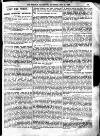 Sheffield Weekly Telegraph Saturday 03 November 1894 Page 17