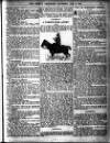 Sheffield Weekly Telegraph Saturday 06 January 1900 Page 15