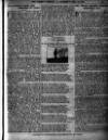 Sheffield Weekly Telegraph Saturday 29 December 1900 Page 19