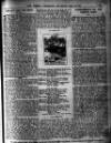 Sheffield Weekly Telegraph Saturday 12 January 1901 Page 19