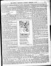 Sheffield Weekly Telegraph Saturday 17 February 1906 Page 19