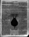Sheffield Weekly Telegraph Saturday 26 April 1919 Page 21
