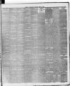 Ballymena Weekly Telegraph Saturday 30 June 1894 Page 3