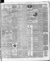Ballymena Weekly Telegraph Saturday 27 October 1894 Page 7
