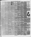 Ballymena Weekly Telegraph Saturday 26 January 1895 Page 5