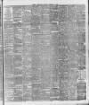 Ballymena Weekly Telegraph Saturday 09 February 1895 Page 3