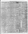 Ballymena Weekly Telegraph Saturday 23 February 1895 Page 3