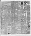 Ballymena Weekly Telegraph Saturday 16 March 1895 Page 7