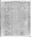 Ballymena Weekly Telegraph Saturday 13 April 1895 Page 3