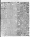 Ballymena Weekly Telegraph Saturday 18 May 1895 Page 3