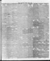 Ballymena Weekly Telegraph Saturday 22 June 1895 Page 3