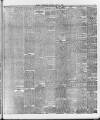 Ballymena Weekly Telegraph Saturday 13 July 1895 Page 3