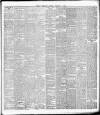 Ballymena Weekly Telegraph Saturday 01 February 1896 Page 3