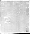 Ballymena Weekly Telegraph Saturday 16 January 1897 Page 5