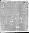Ballymena Weekly Telegraph Saturday 04 March 1899 Page 3