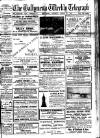 Ballymena Weekly Telegraph Saturday 22 March 1913 Page 1