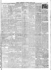 Ballymena Weekly Telegraph Saturday 22 April 1916 Page 7
