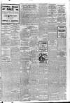 Ballymena Weekly Telegraph Saturday 28 December 1918 Page 3