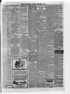 Ballymena Weekly Telegraph Saturday 08 February 1919 Page 3
