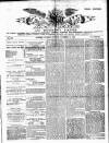 Evening Star Saturday 14 November 1885 Page 1
