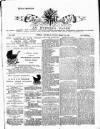 Evening Star Saturday 30 March 1889 Page 1
