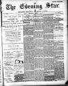 Evening Star Wednesday 03 January 1894 Page 1
