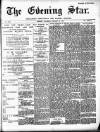Evening Star Saturday 13 January 1894 Page 1