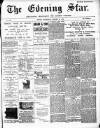 Evening Star Wednesday 24 October 1894 Page 1