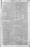 Paisley Daily Express Saturday 24 February 1894 Page 3