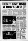 Paisley Daily Express Monday 18 January 1993 Page 3