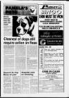 Paisley Daily Express Saturday 29 May 1993 Page 7