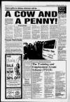 Paisley Daily Express Friday 18 June 1993 Page 3