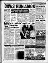 Paisley Daily Express Friday 10 November 1995 Page 3