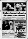 Paisley Daily Express Wednesday 02 October 1996 Page 9