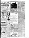 Irish Independent Wednesday 13 June 1917 Page 5