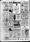 Irish Independent Saturday 01 November 1919 Page 1