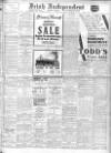 Irish Independent Wednesday 28 December 1932 Page 1