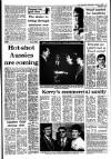 Irish Independent Wednesday 08 January 1986 Page 13
