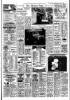 Irish Independent Wednesday 08 January 1986 Page 19