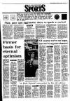 Irish Independent Saturday 18 January 1986 Page 13