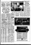 Irish Independent Saturday 25 January 1986 Page 5