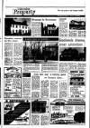 Irish Independent Friday 07 February 1986 Page 25