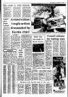 Irish Independent Tuesday 11 March 1986 Page 5
