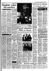 Irish Independent Wednesday 26 March 1986 Page 13